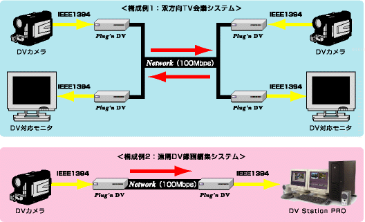 Plug'n DV構成例